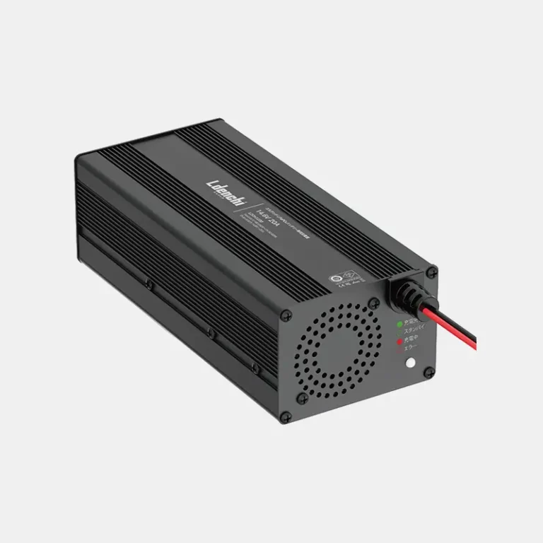 エルデンチ 専用充電器 12V20A